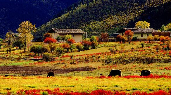 長(zhǎng)白山